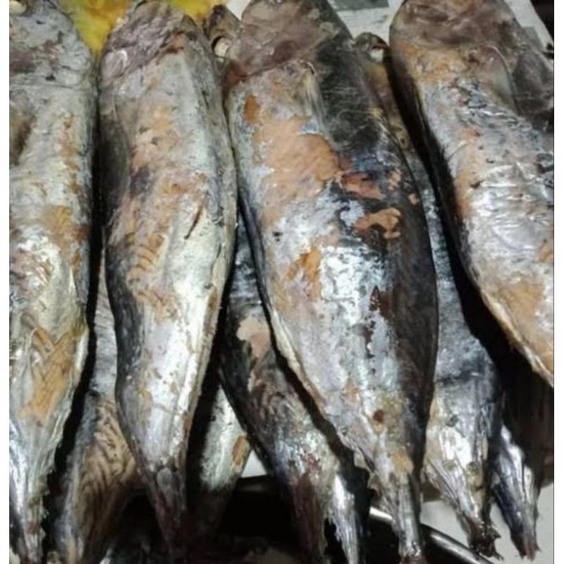 

ikan cuek tongkol asap/kukus 1ekor