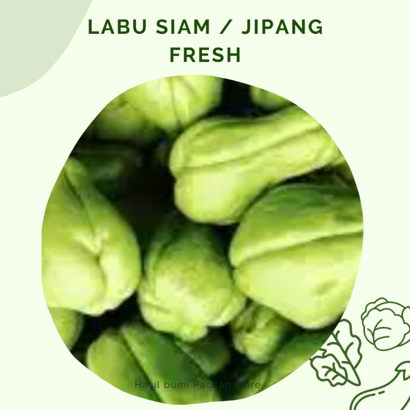 

labu Siam / jipang besar segar 1 kg
