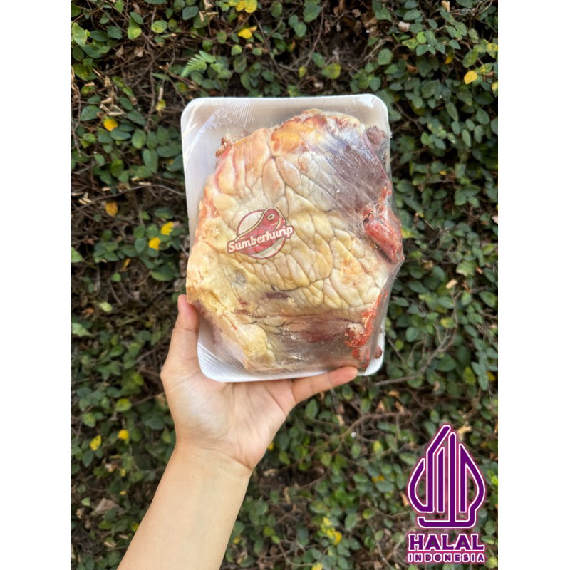 

JANTUNG SAPI 1kg termurah