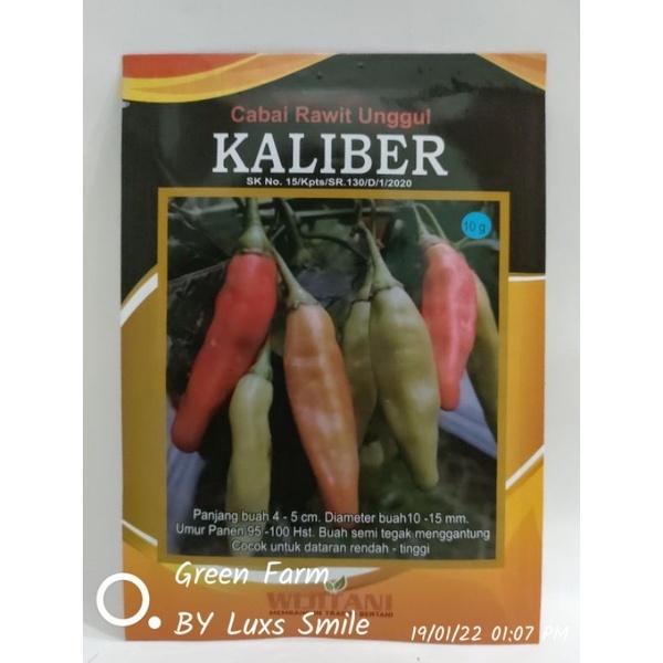 BENIH CABAI RAWIT KALIBER BIBIT CABE RAWIT MERAH KALIBER 10 GRAM
