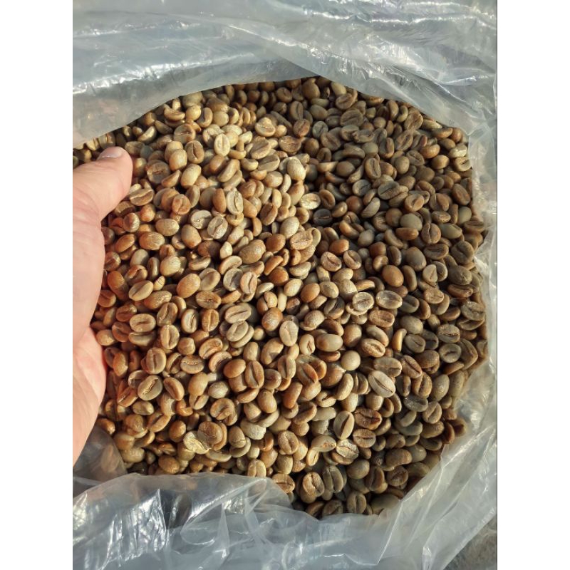 

Green Bean Kopi Arabica 1 Kg