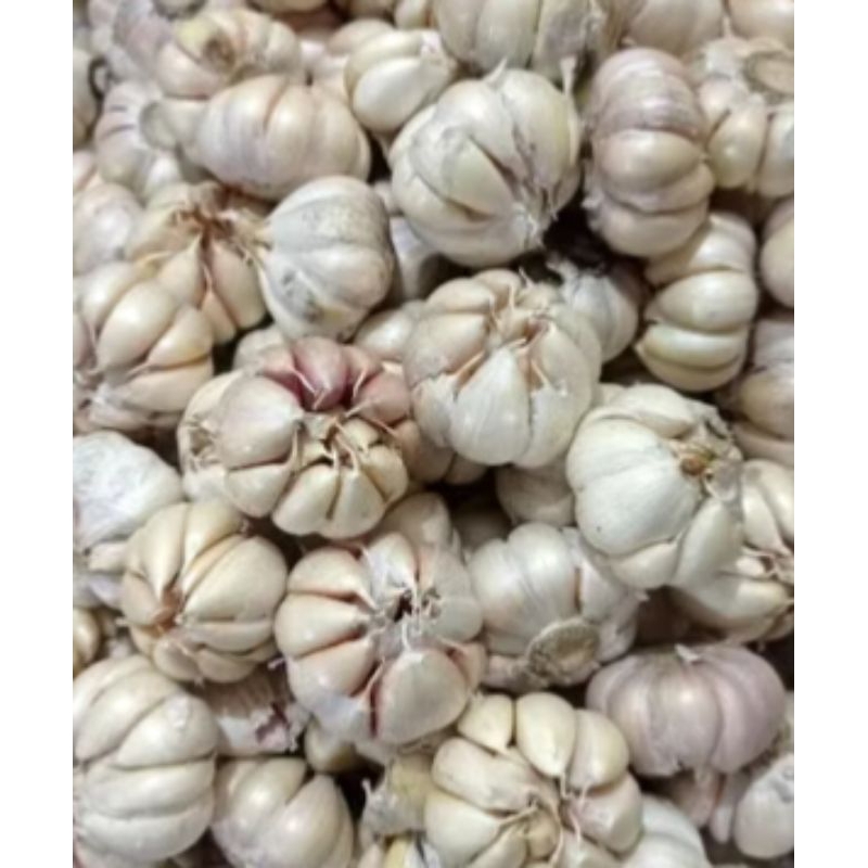 

bawang putih 1kg bawang putih super fresh