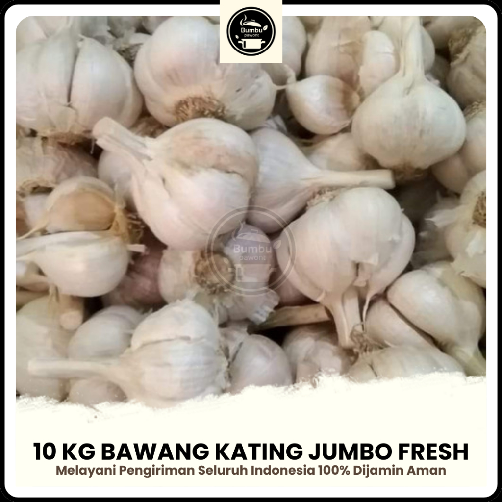 

Bawang Putih Kating Jumbo 10 Kg Bersih Fresh