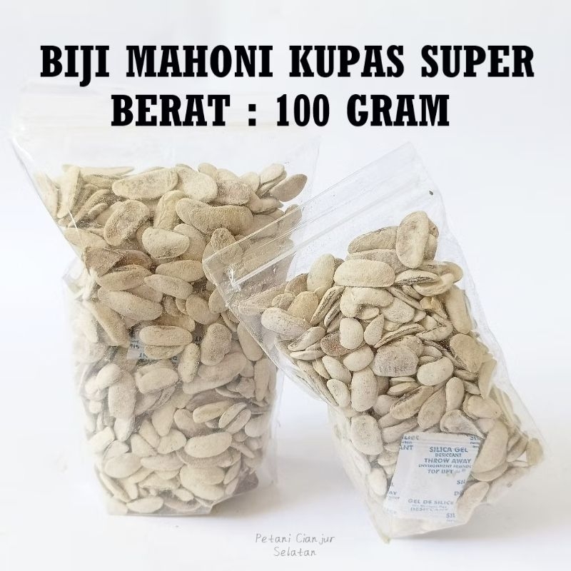 

Biji Mahoni Kupas 100gram | Xiang Tian Guo / Sky Fruits Herbal Obat Kolesterol