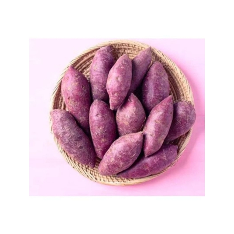 

SALSABILA_GARDEN- Ubi Ungu Fresh 500 Gram