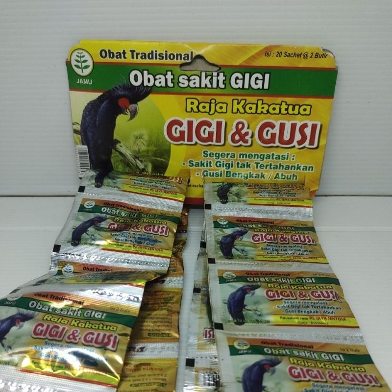 Kaka tua gigi gusi
