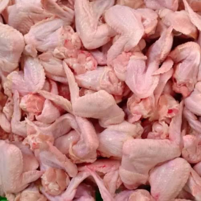

Sayap Ayam Boiler 500 gr (Negri) Fresh frozen Chicken Wing