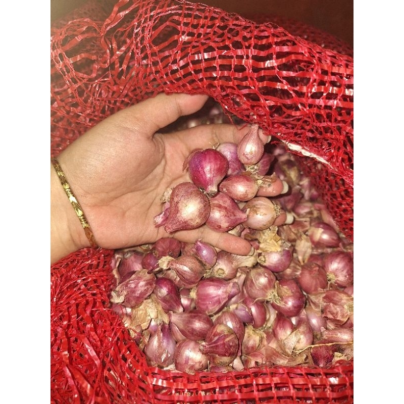 

Bawang merah
