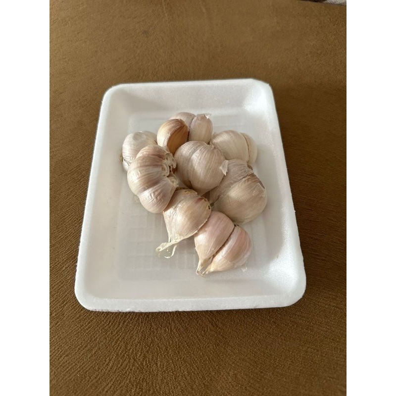 

Bawang Putih Kating 5000