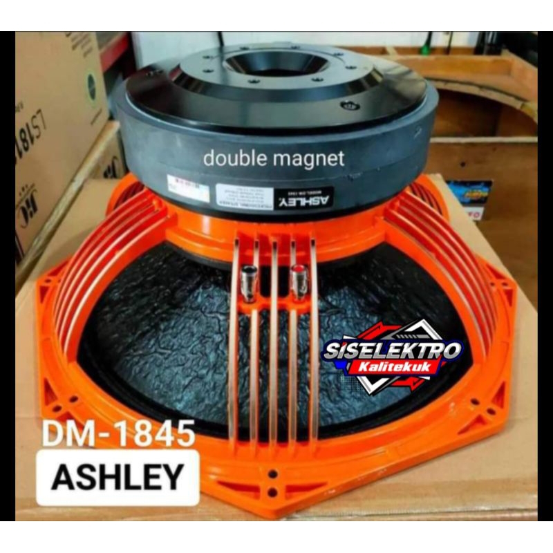 Speaker 18 Inch Ashley DM1845 Ashley 18 Doble Magnet