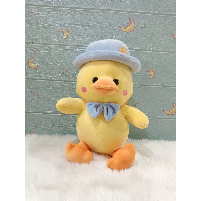 BONEKA BEBEK TOPI BOY AND GIRL  /kado  lucu / kado ulang tahun anak-anak /remaja / dewasa / hadiah a