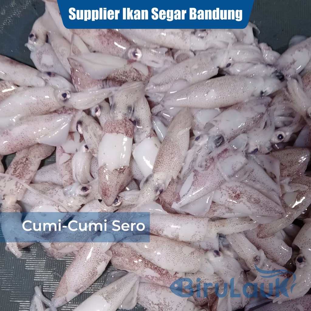 

CUMI-CUMI SERO SEGAR BANDUNG