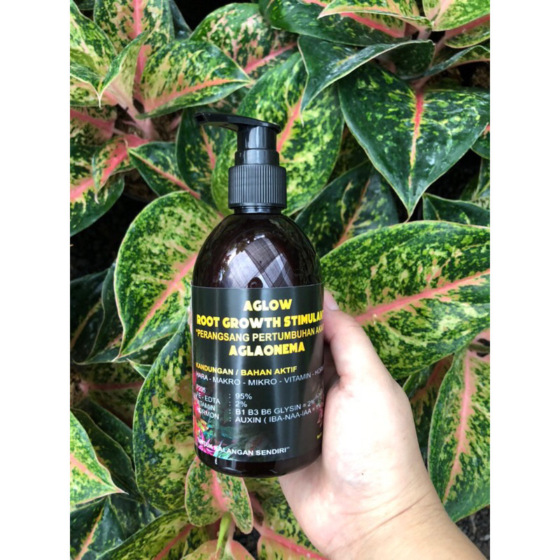 AGLOW ROOT GROWGH STIMULANT  250ml PERANGSANG PERTUMBUHAN AKAR AGLAONEMA