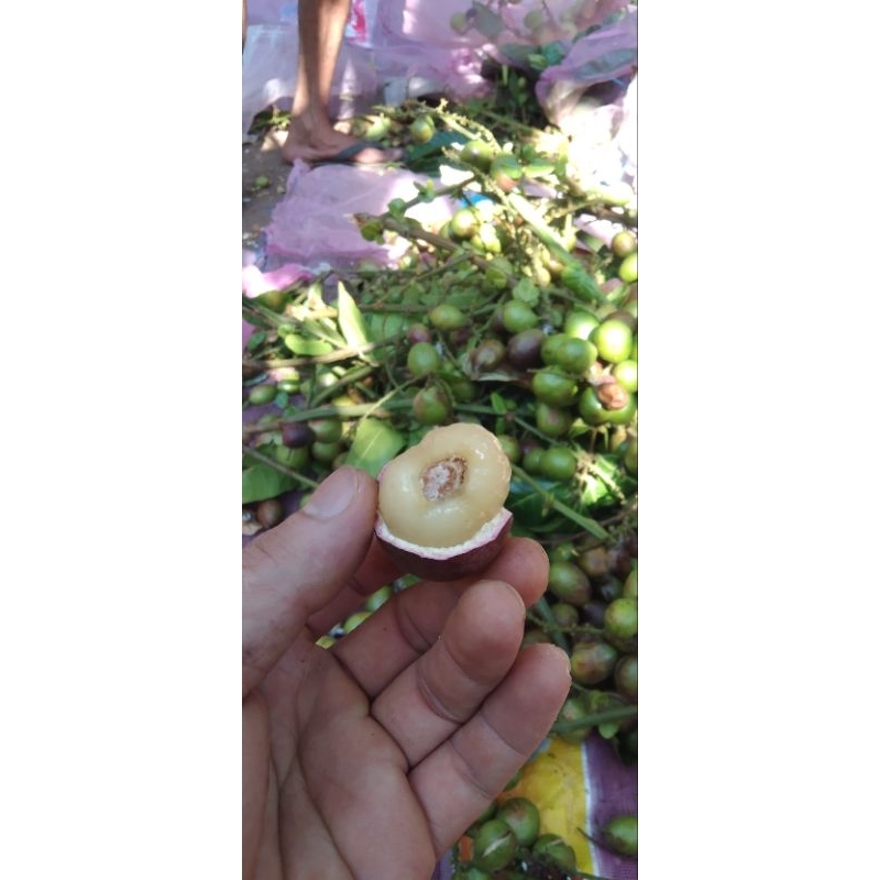 

paket hemat buah matoa 2 kg