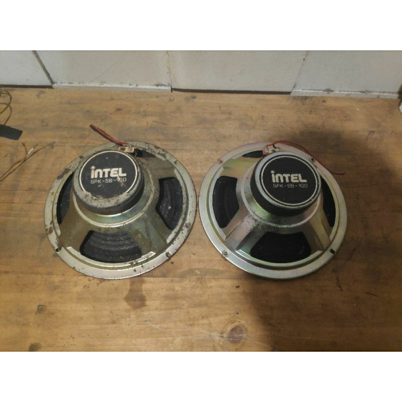 Speaker Intel 8 Inch Bekas Basooka Akari