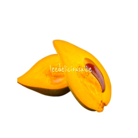 

Delicious - Buah Alkesah Sawo Mentega Buah Alkesah Manis Fresh