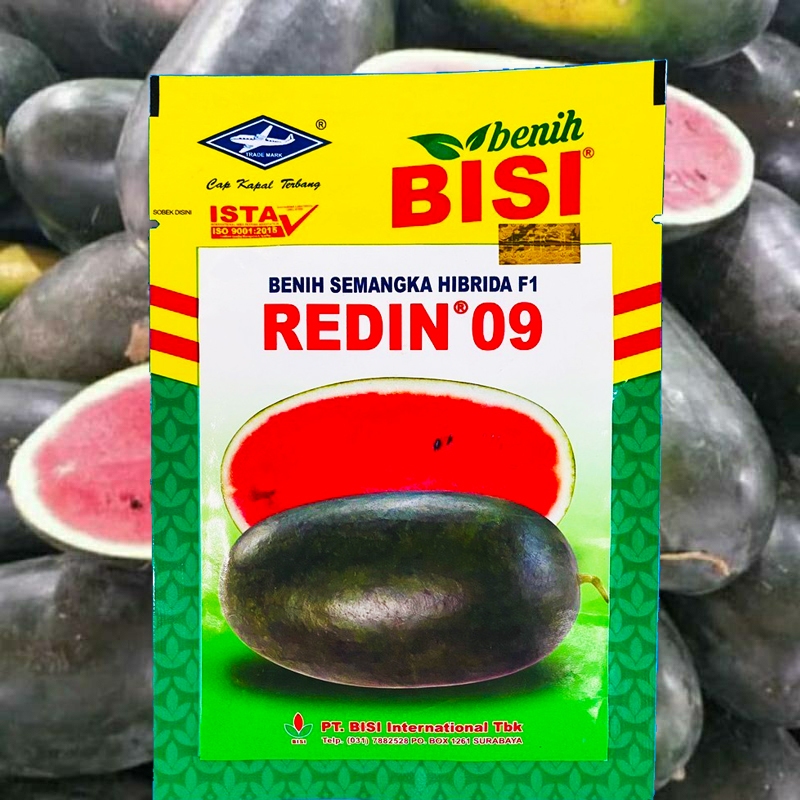 Benih Semangka Inul Merah REDIN 09 F1 Isi 20 gram - Bibit Blonceng Semongko Lonjong Daging Merah