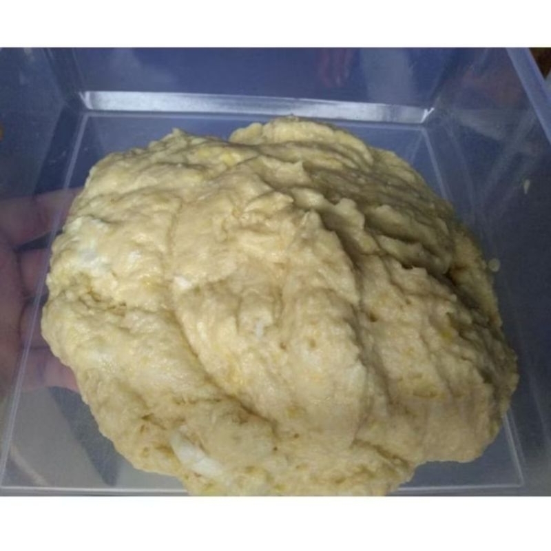 

Tempoyak Durian100Gram