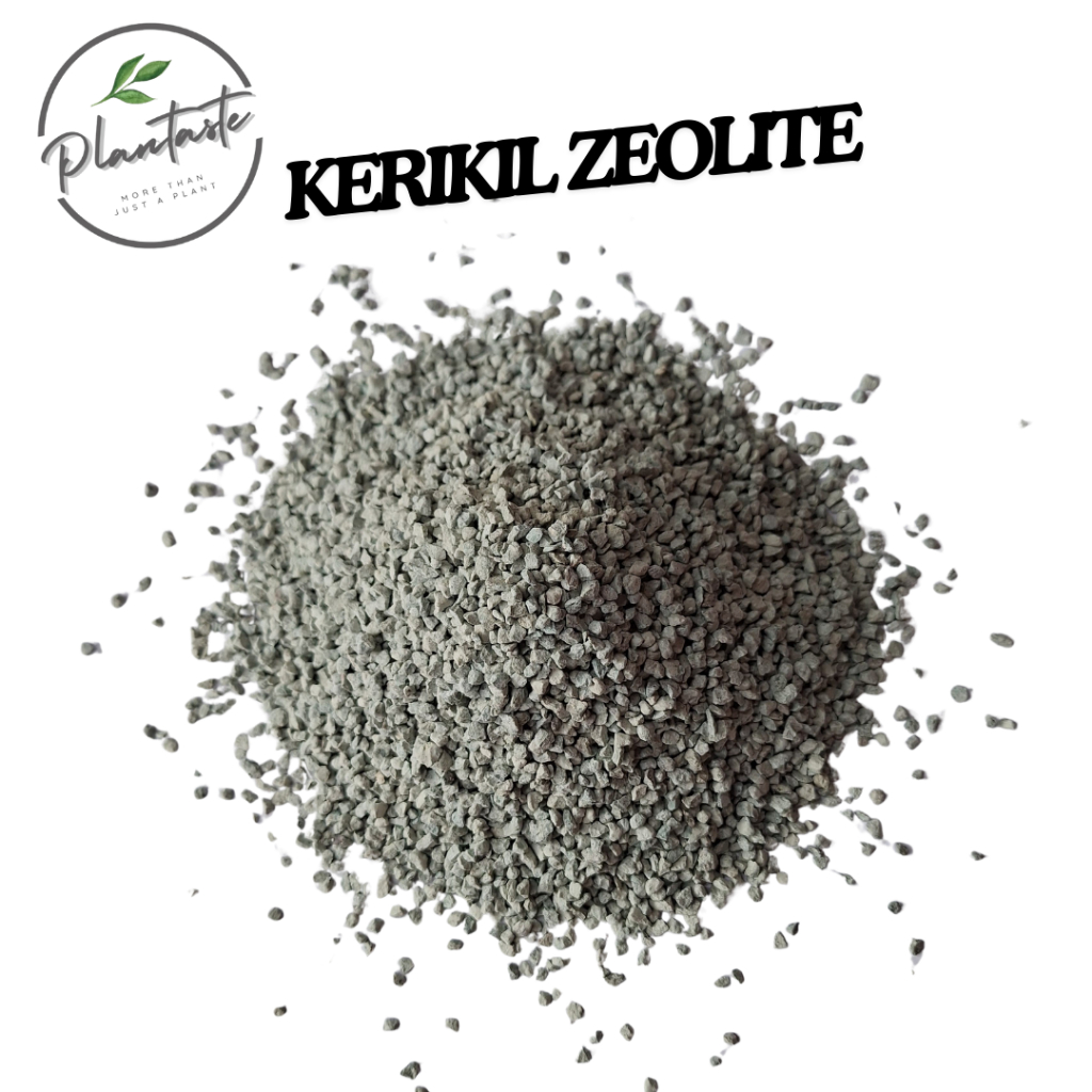 Media Tanam | Kerikil Zeolite Khusus Tanaman Steril | Bumi Nusanterra