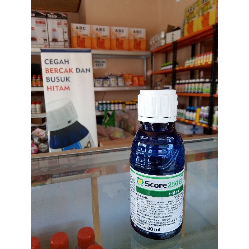 SCORE 100 ML fungisida sistemik