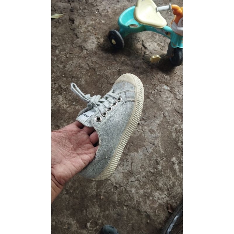 novesta star master greyy