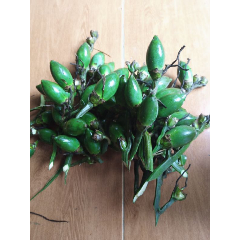 

Buah jambe muda/pinang muda 1kg