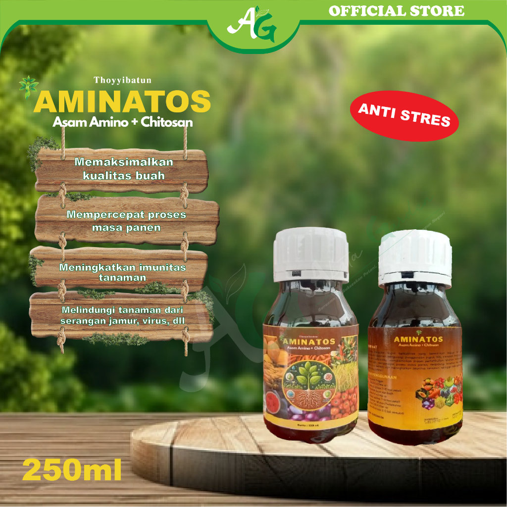 AMINATOS || Asam Amino + Chitosan || Pupuk Cair || Obat Tanaman
