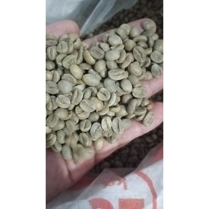 

GB Arabica G1Gn.Arjuna