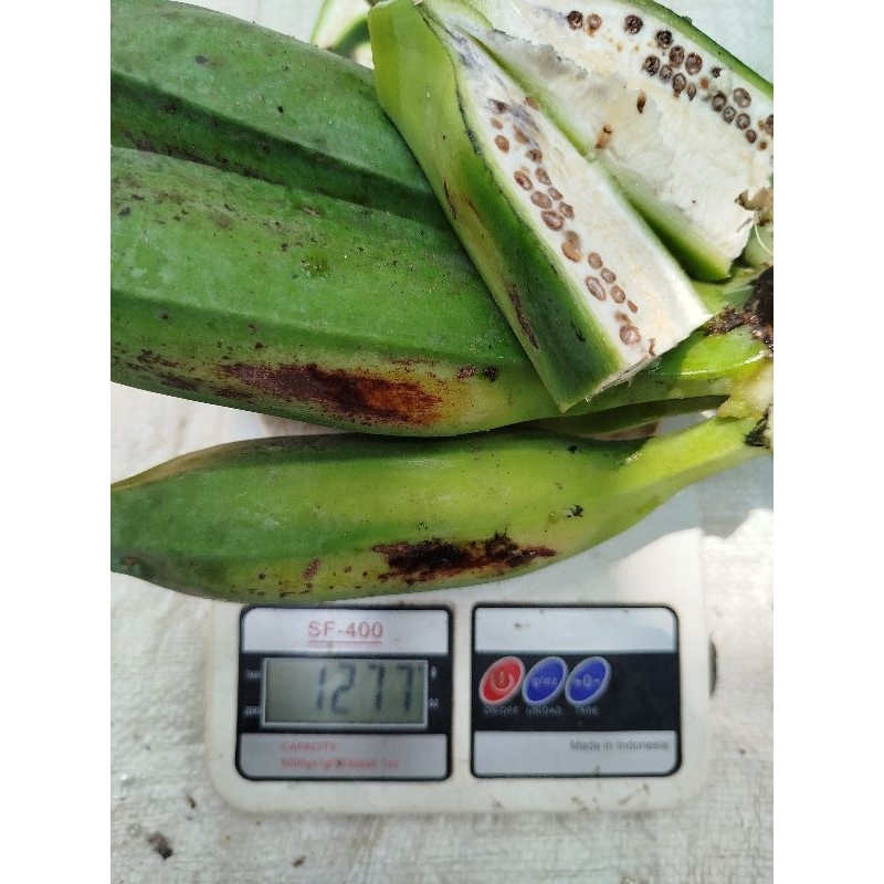 

pisang batu muda segar bahan rujak 1 kg