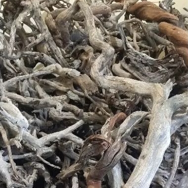 Kayu Santigi Laut Kecil - Aquascape - Paludarium - Terarium - 16