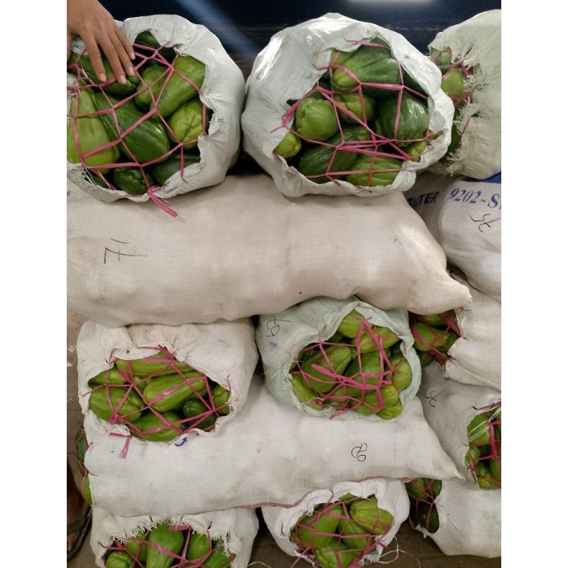 

SUPER PROMO LABU SIAM acar/lalap 1kg