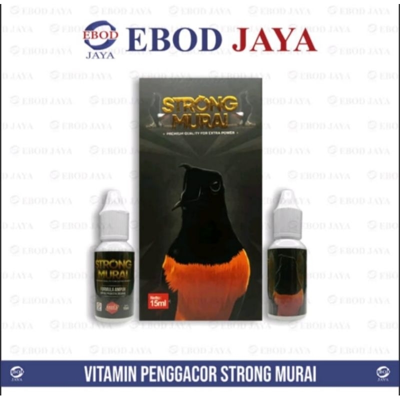 ebod strong murai vitamin burung ebod jaya penggacor rajin bunyi