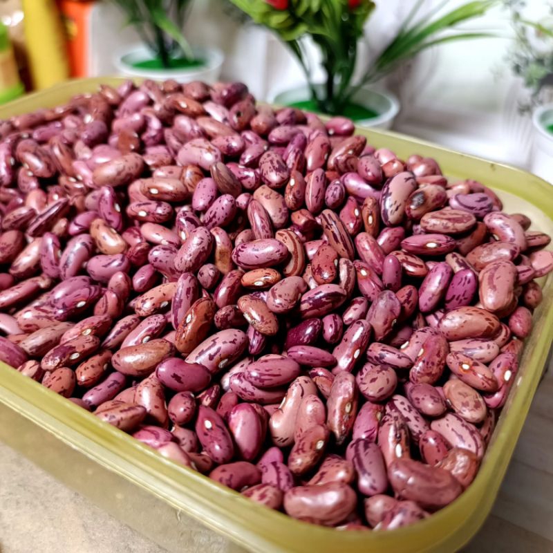 

RB merah dan tolo kacang merah & kacang tolo kacang joglo kacang lokal berkualitas buat es