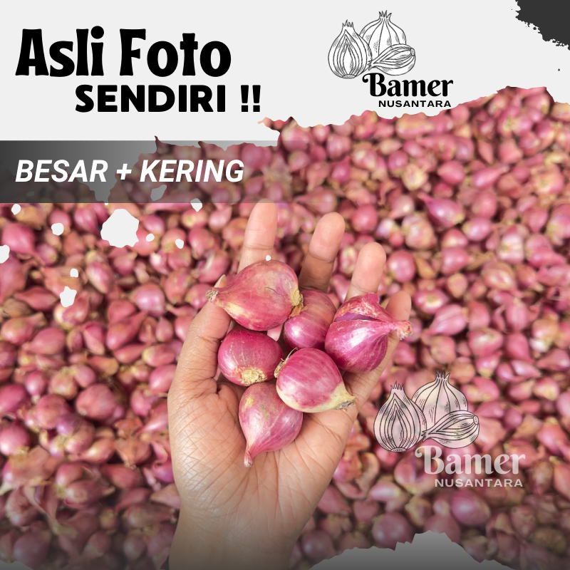 

Bamer Bawang Merah Kering Grosir 5 KG 10 KG Termurah Ukuran Sedang Lokal Untuk Bumbu Masakan Sedap Bawang Goreng Kecil Murah Gratis Ongkir