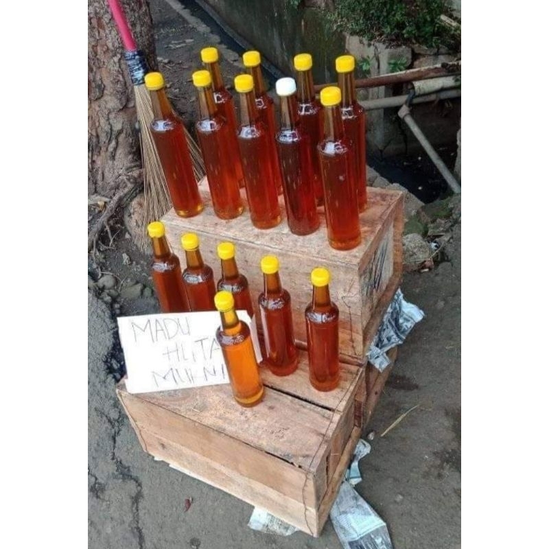 

MADU murni tawon Gung (3 saudara)