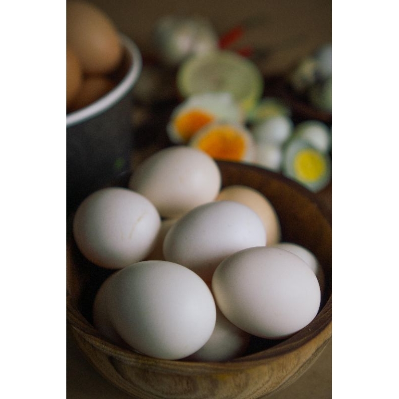 

Telur Ayam Kampung Organik (isi 10)