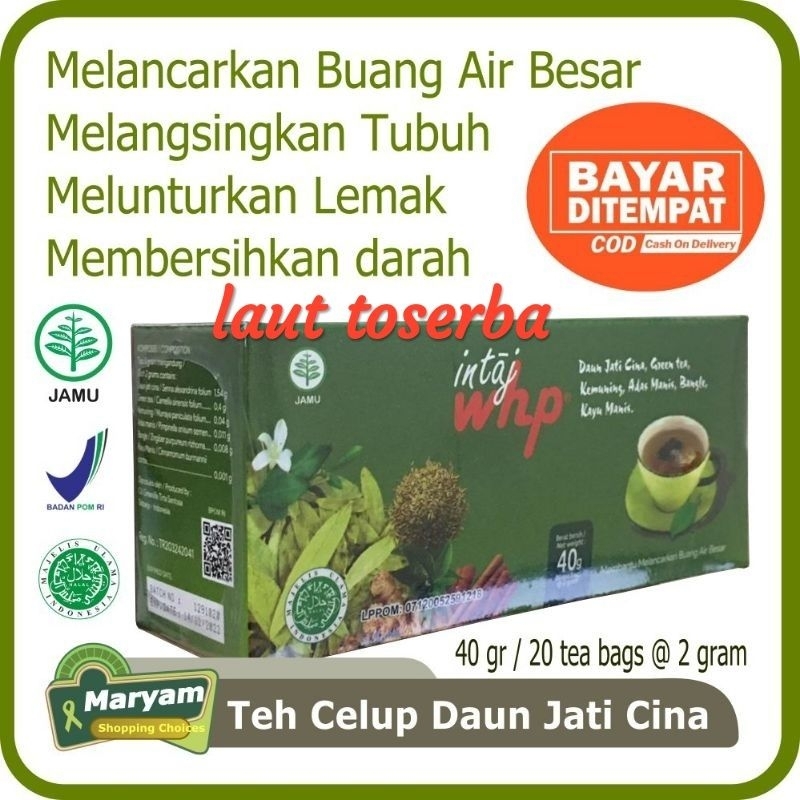 

Teh Celup Daun Jati cina Herbal 100% Original Darusyifa Pelangsing Alami Asli BPOM isi 1 Kotak 20 Kantong
