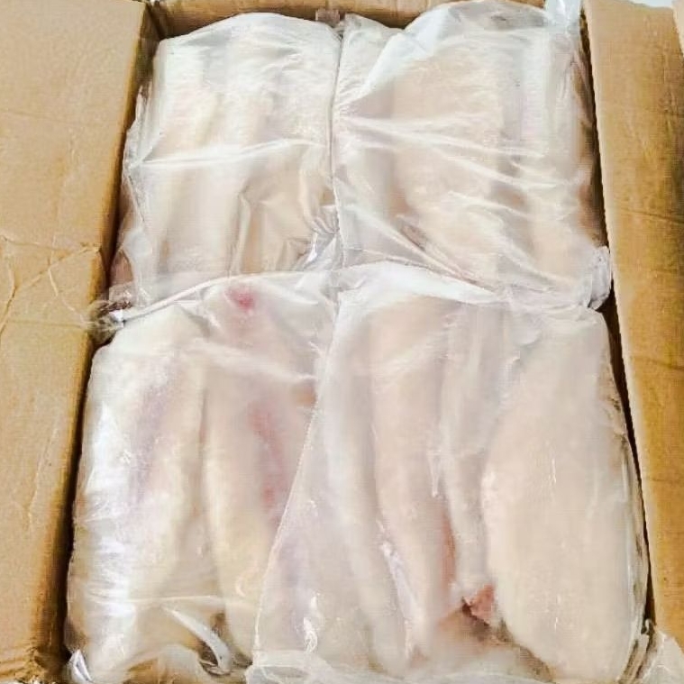 

Dori BL (Blood Line) Size 3