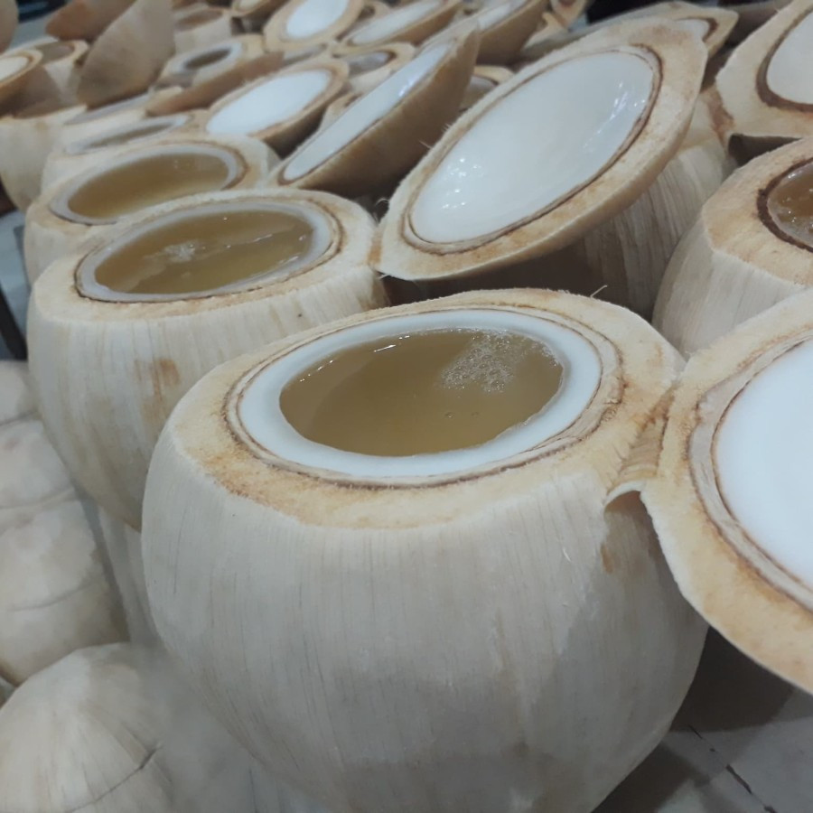 

Degan Jelly