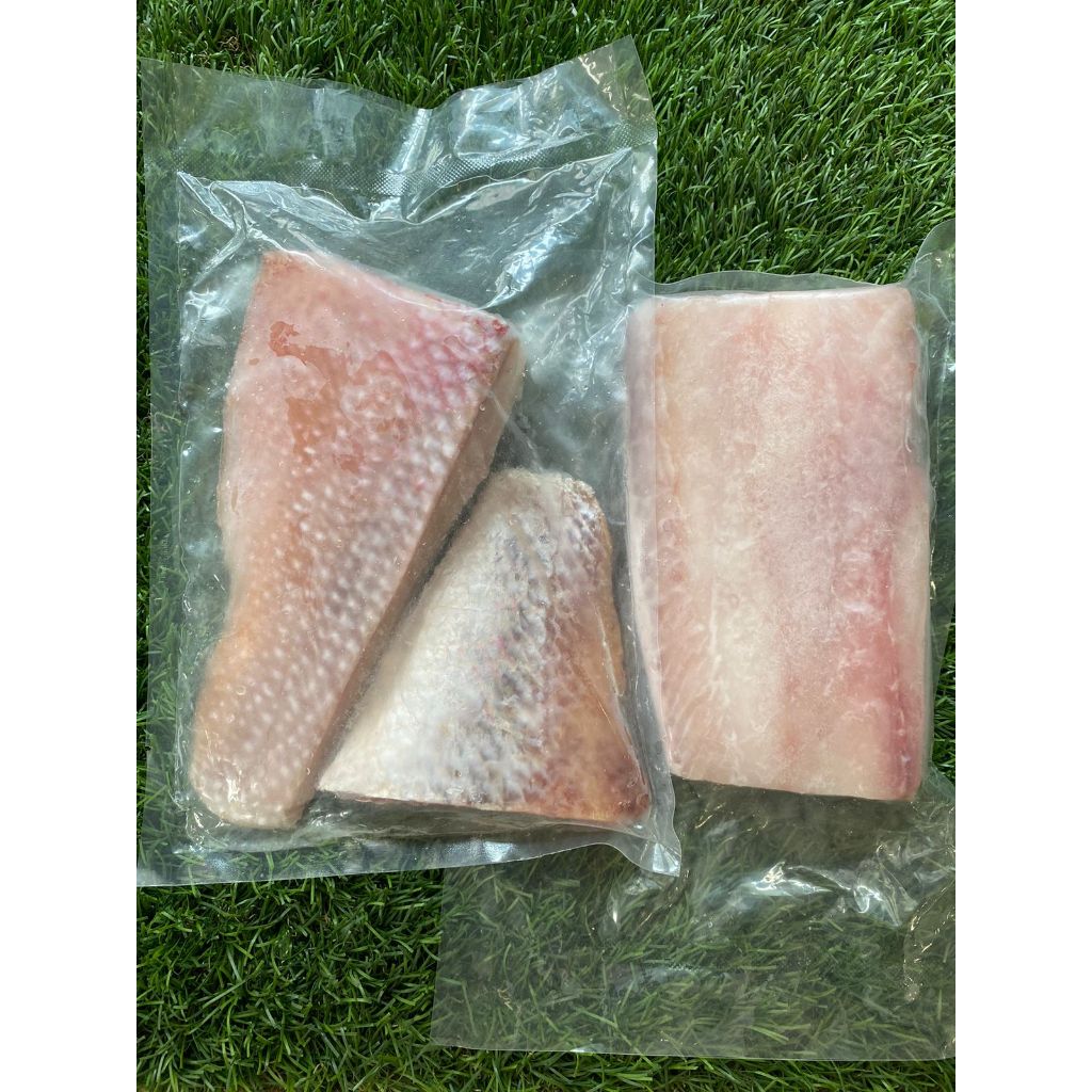 

IKAN KAKAP MERAH FILLET / RED SNAPPER FISH FILLET STEAK FROZEN 500 GR