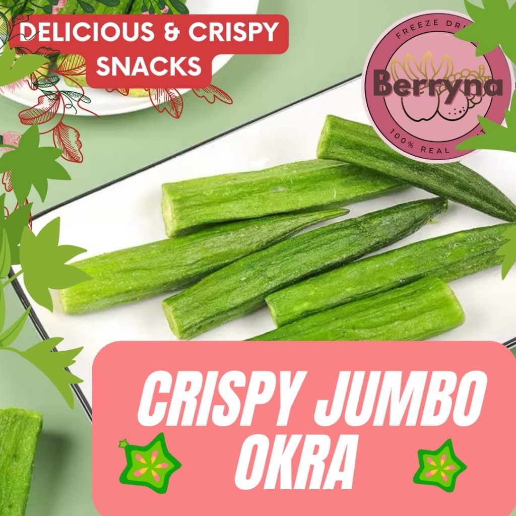 Berryna Okra Cemilan Sayur Kering Berryna Keripik Okra Garing 35g - Snack, Food