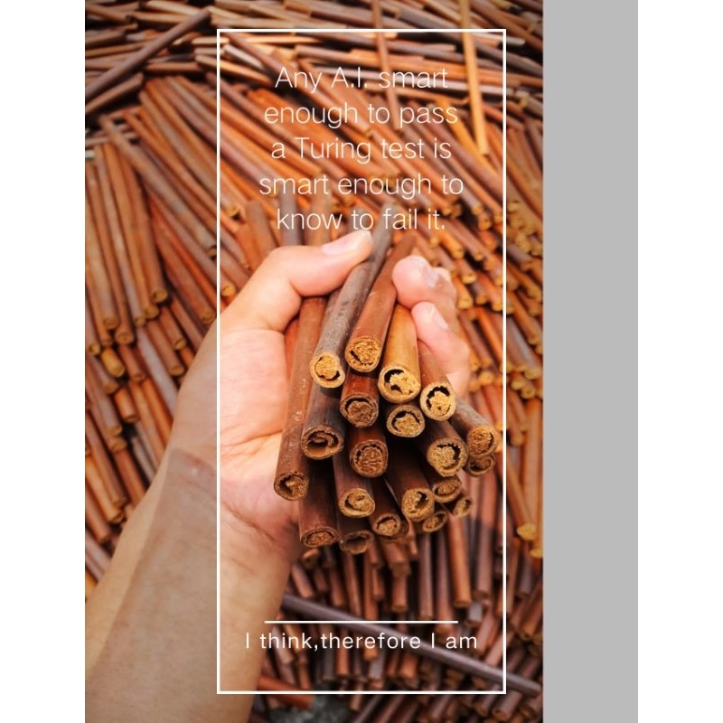 

handam / handam kaligrafi / Kalam kaligrafi