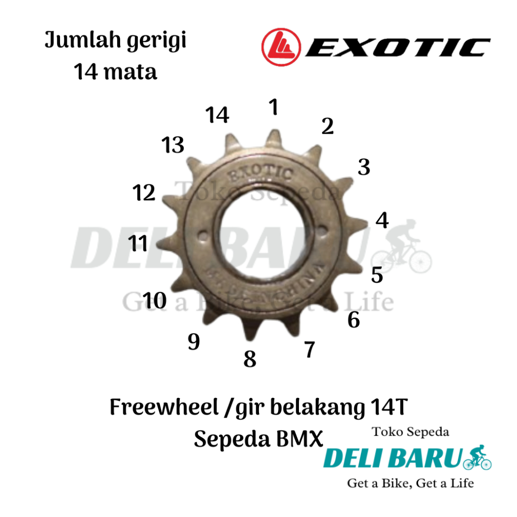 Exotic Freewheel 14T gir belakang single speed gear 14 T sepeda BMX