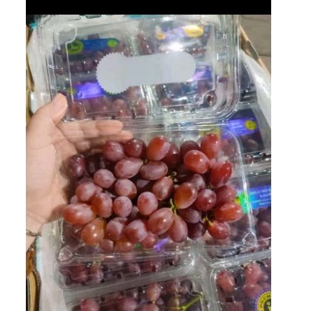 

ANGGUR MERAH CRIMPSON PER PACK