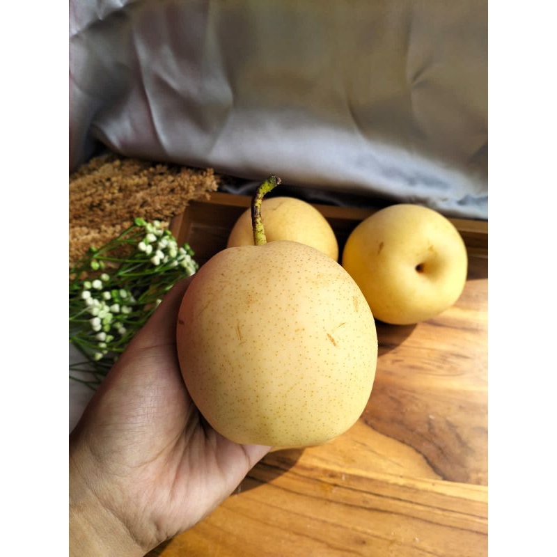 

PEAR CENTURY - SERBA BUAH