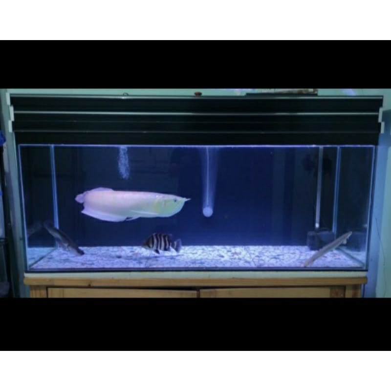 TUTUP AKUARIUM BAHAN PVC ( CUSTOM ) 100x50