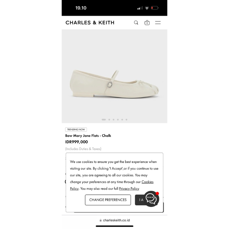 charles and keith flat shoes