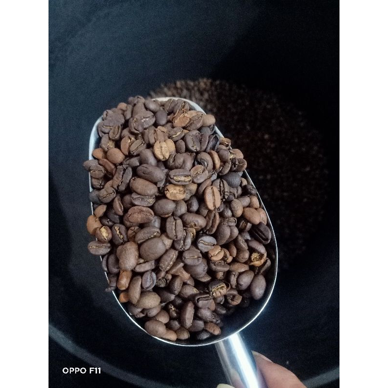 

KOPI GAYO ARABICA PREMIUM BROWN BEAN 1KG KOPI DARI DATARAN TINGGI ACEH