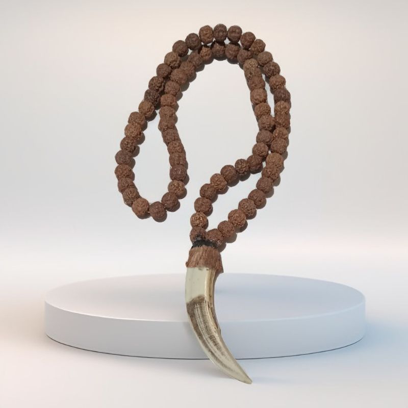 kalung taring asli kalimantan