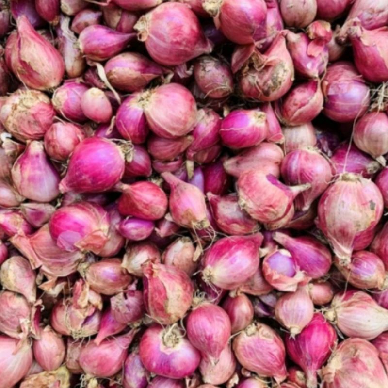 

bawang merah